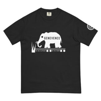 Unisex garment-dyed heavyweight t-shirt